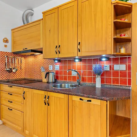 Apartment Horsky Rodinny Apartman: Mountain Family Retreat With Wellness & Terrace Harrachov