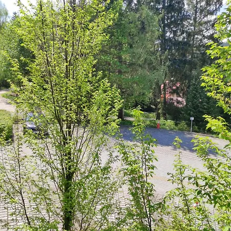 Horsky Rodinny Apartman: Mountain Family Retreat With Wellness & Terrace *